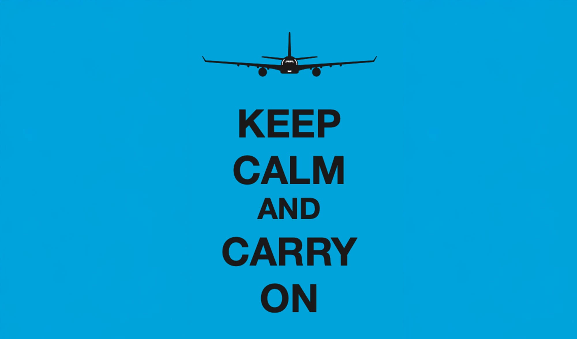 pilot panic
